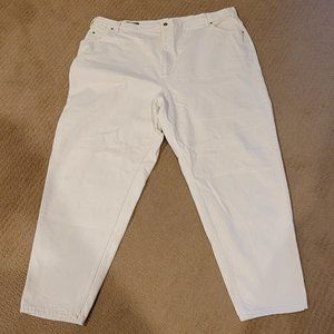 Lands End Plus Sized Jeans